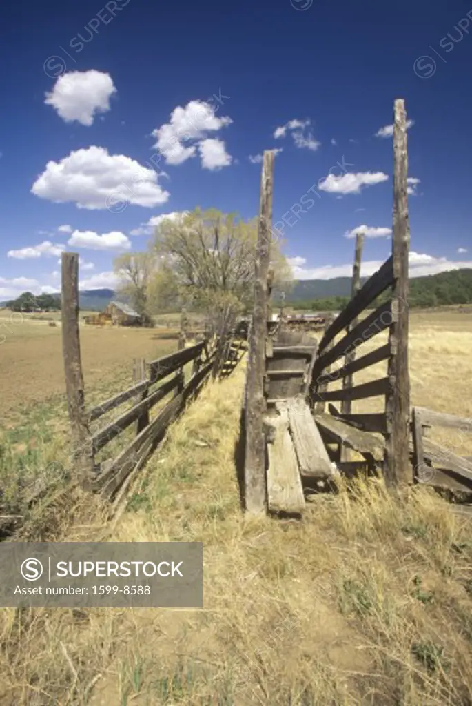 Old cattle loading gate, MN