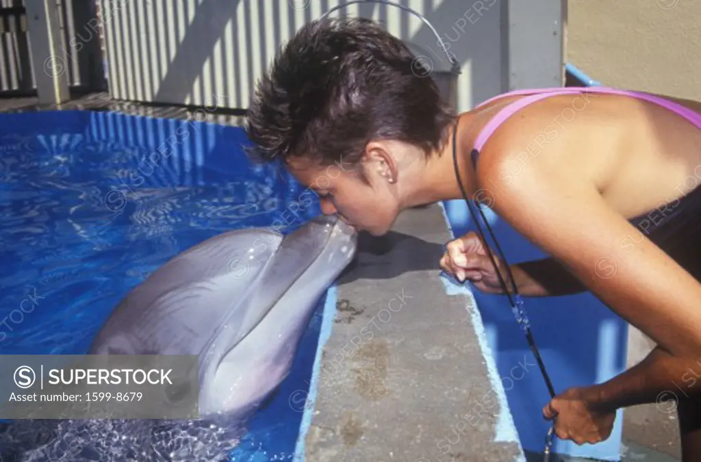 Training dolphin, Magic Mountain, CA