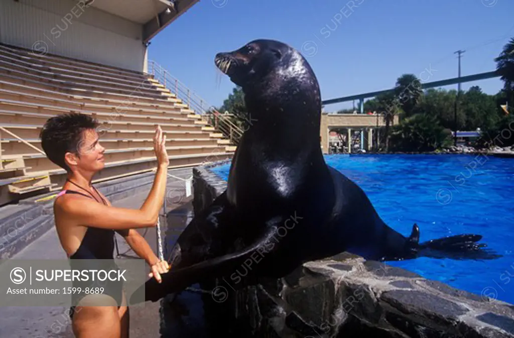 Trainer and Sea Lion, Magic Mountain, Los Angeles, CA