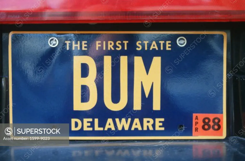 Vanity License Plate - Delaware