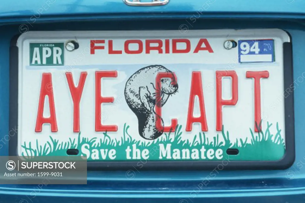 Vanity License Plate - Florida