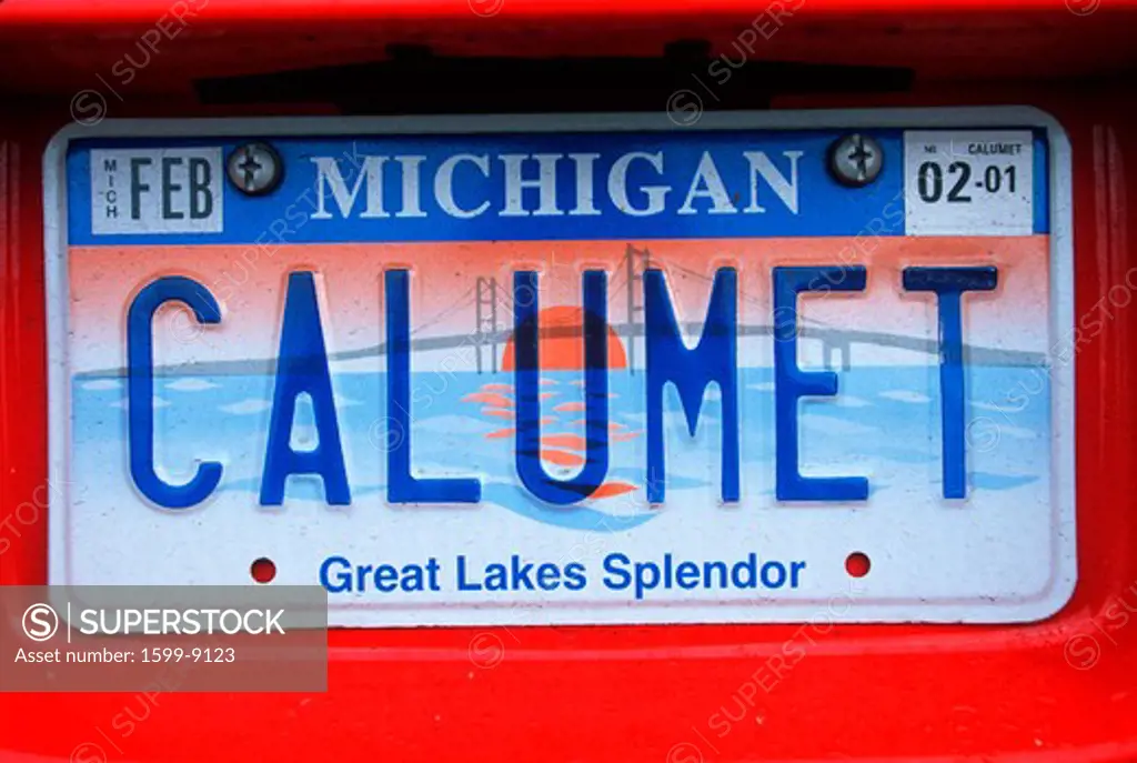 Vanity License Plate - Michigan