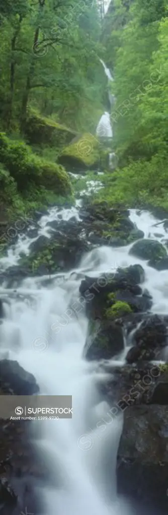 Northern Falls at Silver Falls State Park, Salem, Oregon