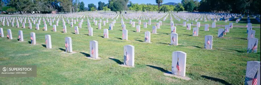 Veterans National Cemetery on Veteran's Day, Los Angeles, California