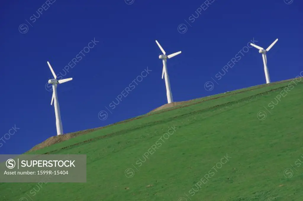 Wind turbines on a hill, Altamont Pass, California
