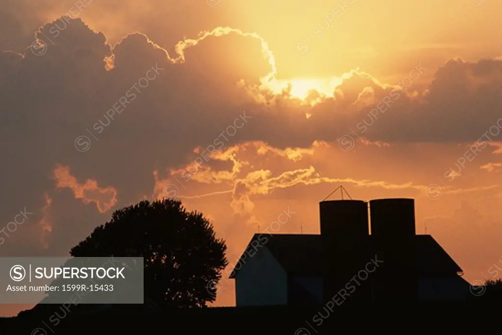 Barn, silo and tree silhouetted on a cloudy sunset