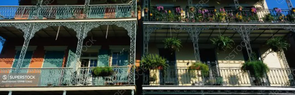 This shows two buildings in the historic French Quarter on Bourbon Street. The buildings have lattice work railings with potted flowers decorating the balconies. There are also large fern plants hanging from the railings.