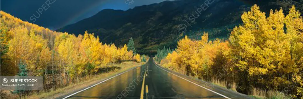 This is the Million Dollar Highway in the rain. The road is dark and wet. There are aspen trees with gold leaves on either side of the road.