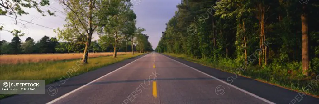 This is a tree lined road at sunset. It is located on the Eastern Shore of Maryland. The road travels through the center of the trees.