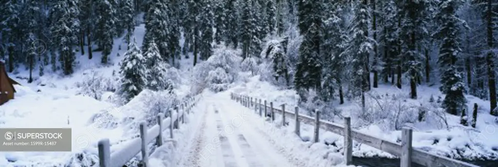 This is a small snow covered road after a winter snow storm. The road in front is a bridge with visible tire tracks from a car that has crossed the bridge.