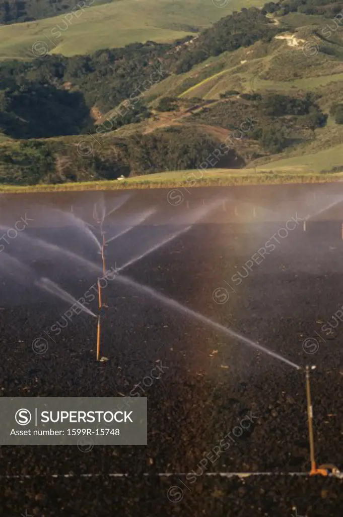 Sprinkler system watering crops