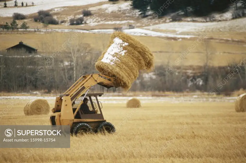 Skip loader moving hay bale