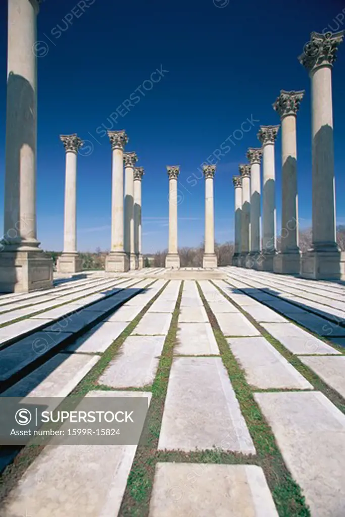 Walkway surrounded by freestanding columns at the National Arboretum