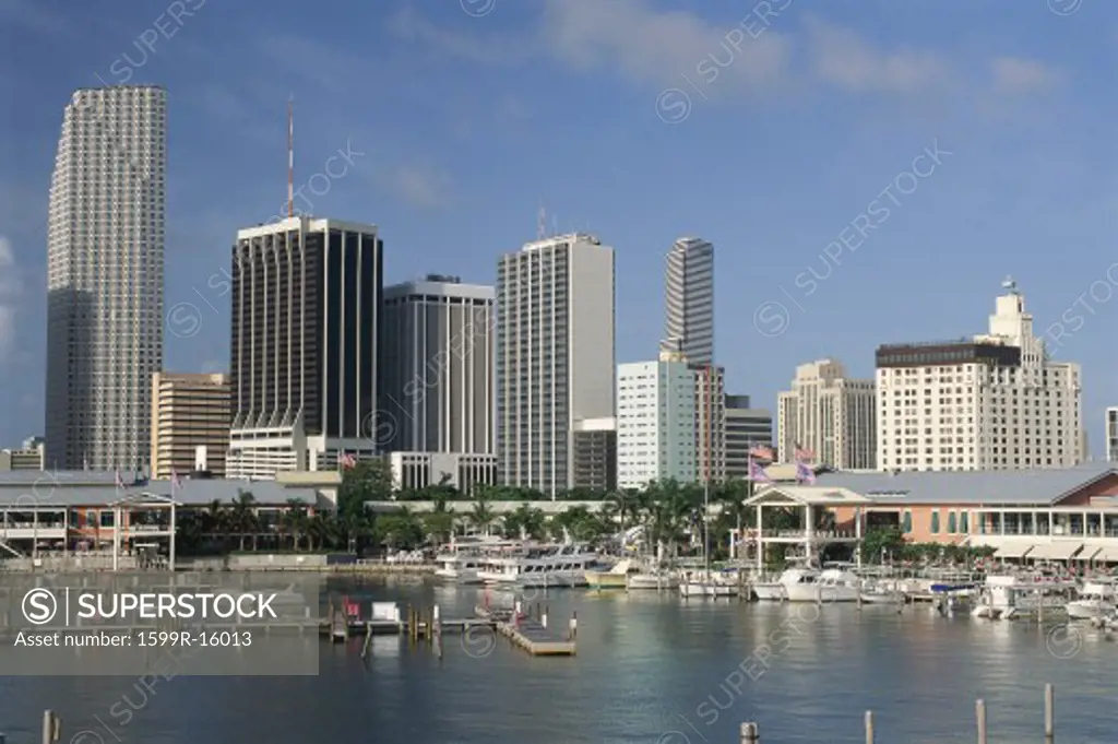 Miami skyline and waterfront