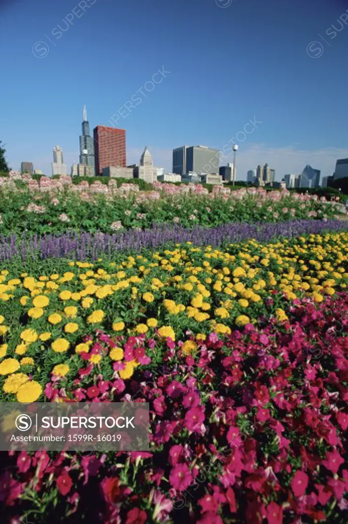 Flowerbeds in Grant Park, Chicago in distance