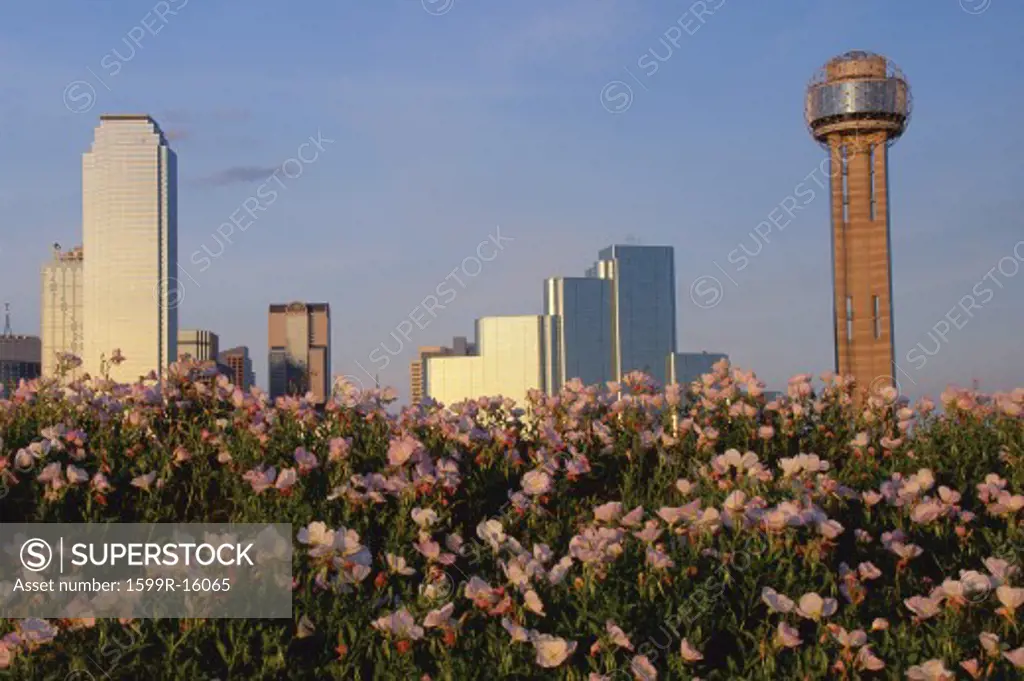 Scenic Dallas skyline with Reunion Tower