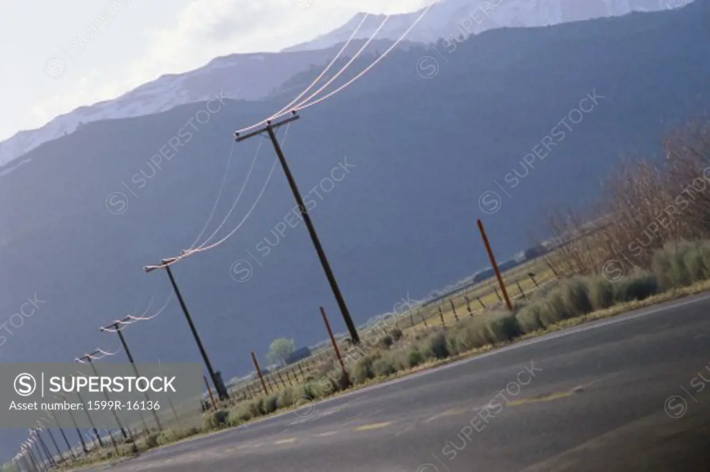 Telephone poles running along roadside