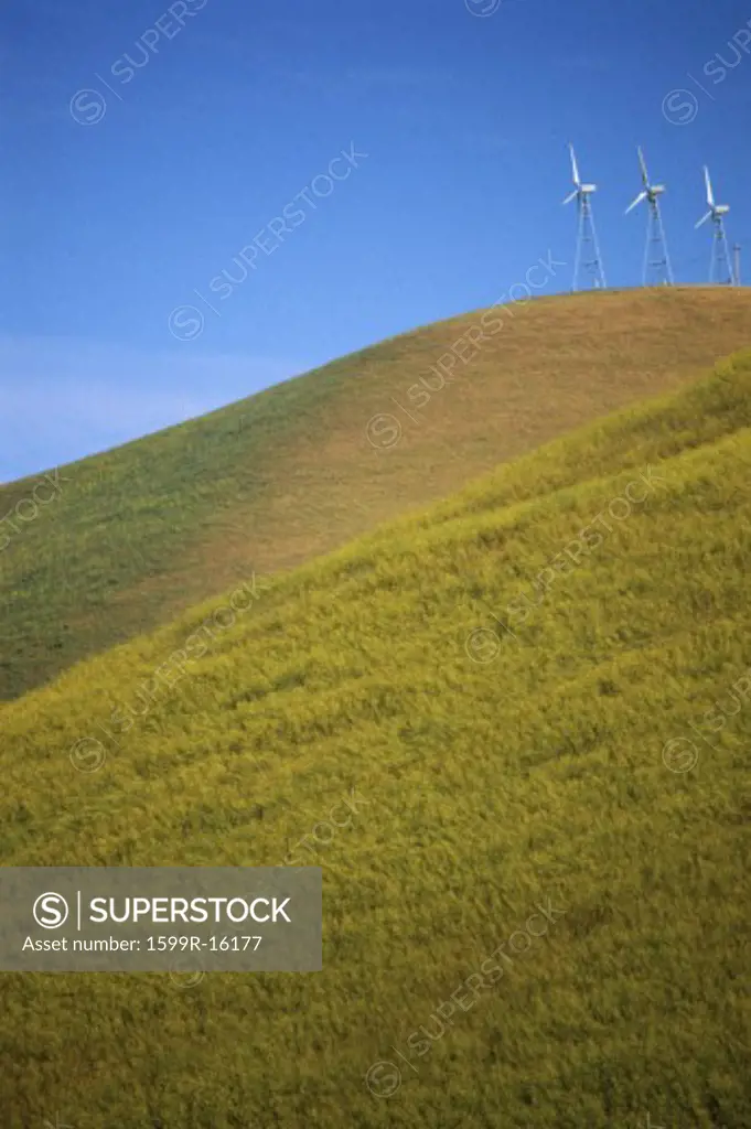 Wind turbines on grassy hill