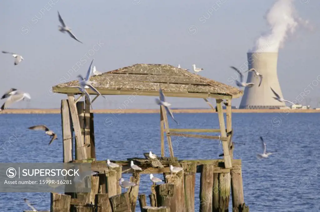Wooden structure on pier with nuclear reactor in background