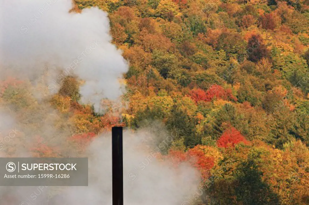 Smokestack against autumn trees