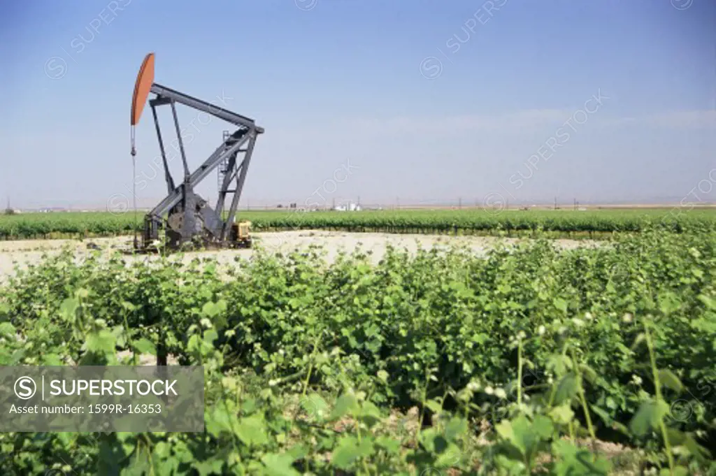 Pump jack oil well in field