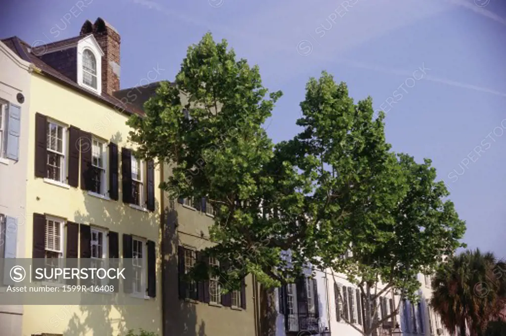 Row homes in Charleston, SC