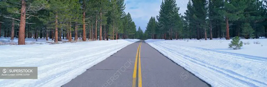 Two lane road in snow with Evergreen trees