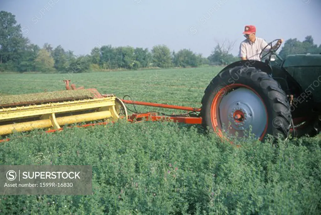 Farmer cutting hay field in South Bend, IN