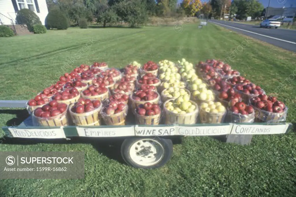 Apple baskets sitting on a trailer by the roadside in Clermont, NY