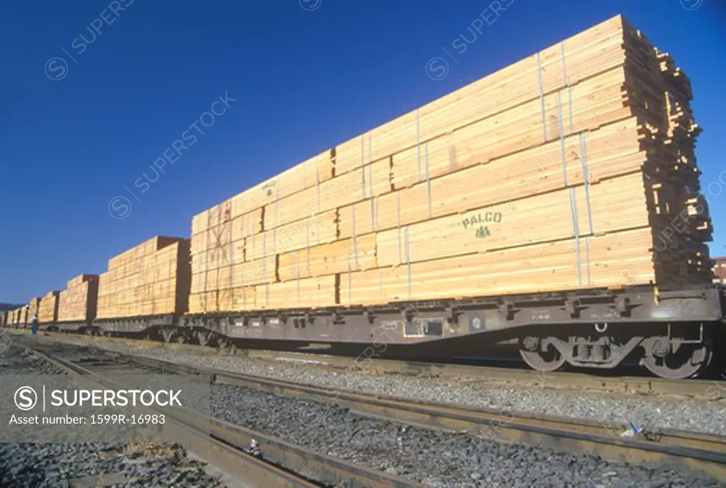 Tons of lumber being transported via rail