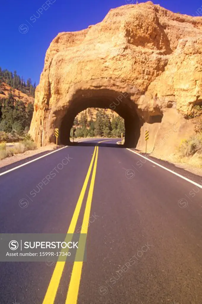 Tunnel Through Rock, Bryce Canyon National Park, Utah