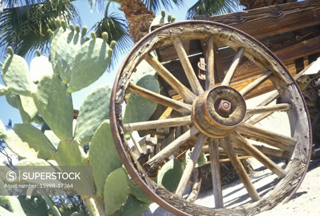 Old Wagon Wheel and Cactus, Anza-Borrego Desert State Park, California