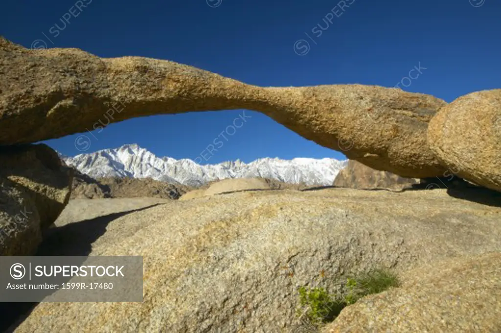 The Alabama Hills Arch framing Mount Whitney and the snowy Sierra Mountains at sunrise near Lone Pine, CA