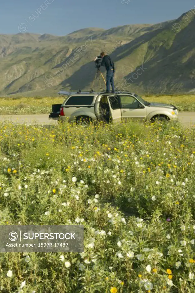 Photographer setting up camera on car rooftop to photograph spring desert lilies and desert gold, Henderson Road in Anza-Borrego Desert State Park, CA