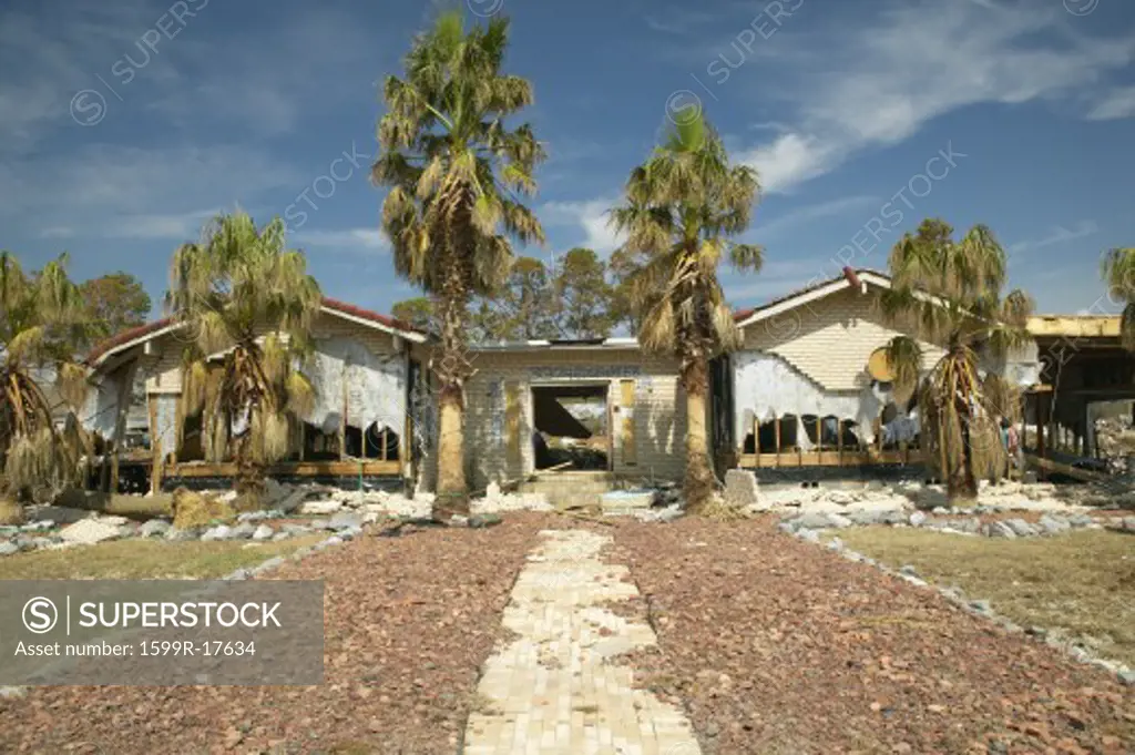 Palm tree walkway leads to house destroyed by Hurricane Ivan in Pensacola Florida