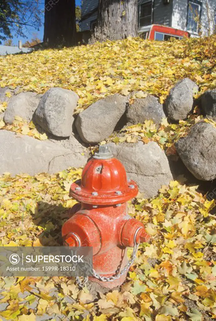 A red fire hydrant in a pile of autumn leaves