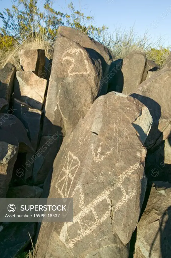 Three Rivers Petroglyph National Site, a (BLM) Bureau of Land Management Site, features an image of an Eagle head, one of more than 21,000 Native American Indian petroglyphs and examples of prehistoric Jornada Mogollon rock art, off Route 54, South of Carrizozo, New Mexico