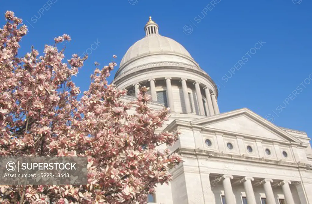 State Capitol of Arkansas, Little Rock