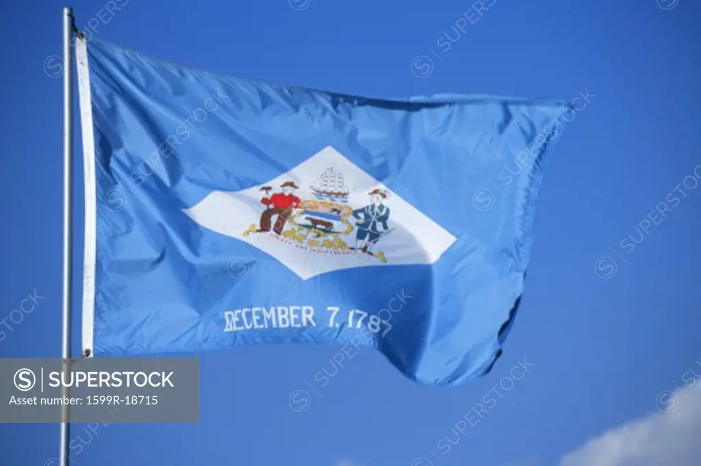 State Flag of Delaware