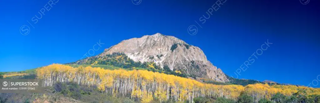 Beckwith Mountain at Kebler Pass in Gunnison National Forest, Colorado