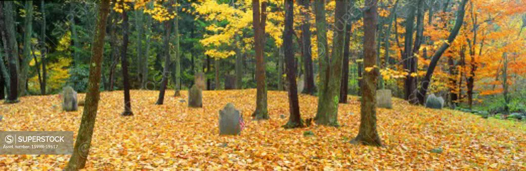 Noah Phelps grave in Revolutionary War cemetery in Autumn, Austerlitz, New York