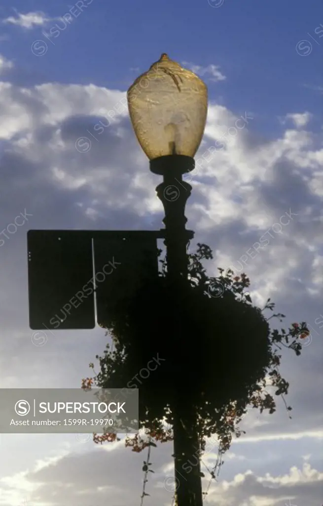 Street lamp post, Telluride, CO