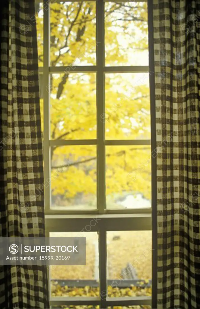 Gingham curtains framing view of Autumn leaves,  Waterloo, NJ