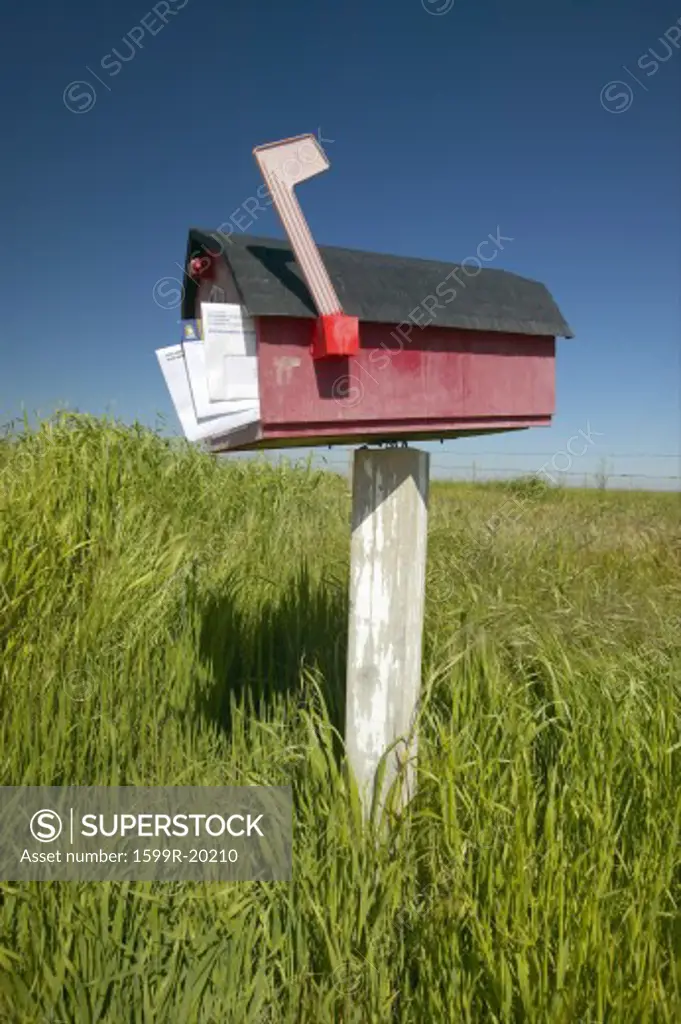 Red box with mail displayed, off the road near old Route 58 near the Carrizo Plains National Monument, CA