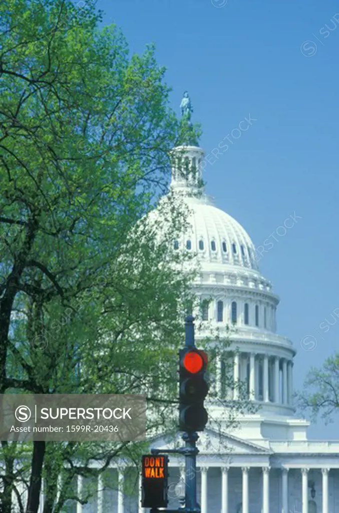 View of United States Capitol Through Trees, Washington, D.C.