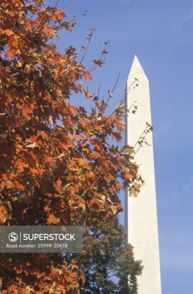 The Washington National Monument in Autumn, Washington, D.C.