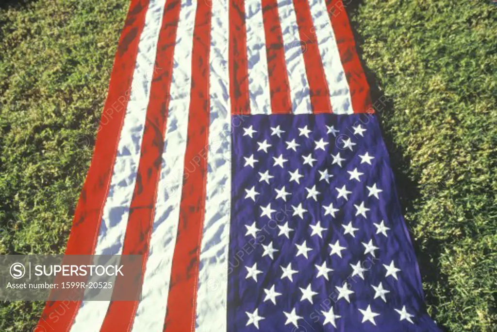 American Flag Laid Out on Green Lawn, United States