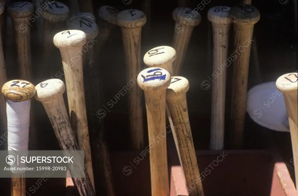 Close-up of baseball bats