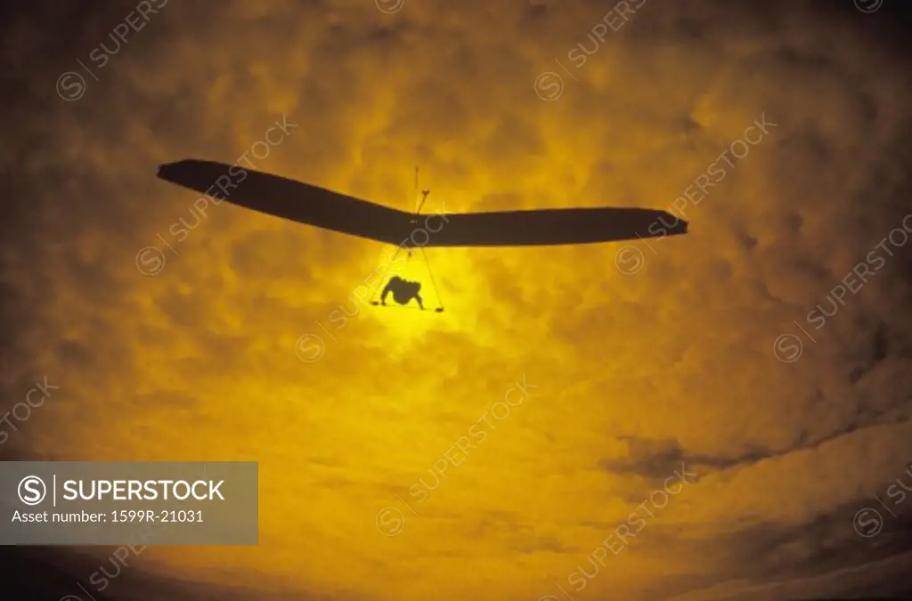 Solar Sailing Hang Gliding in sunset silhouette, Morro Bay, CA