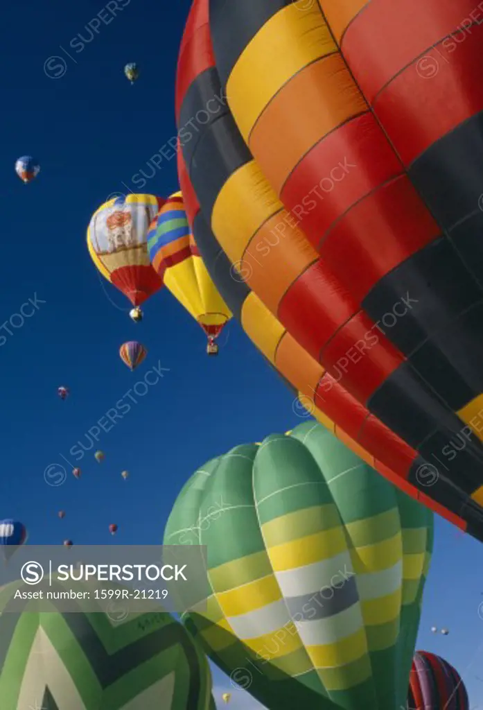 Hot Air Balloons in Flight, Albuquerque, New Mexico